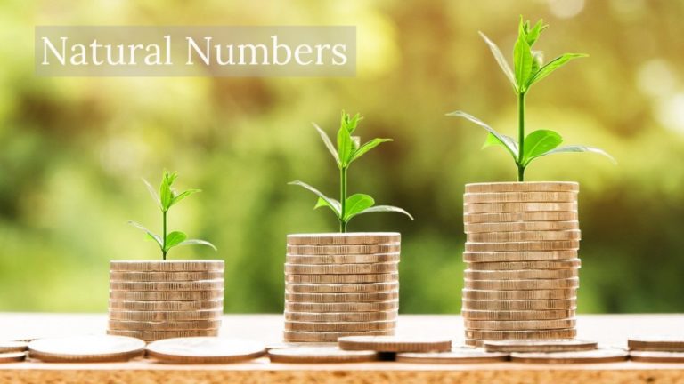 Natural Numbers employer image depicting money growing